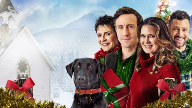 Watch Miracle on Christmas Trailer