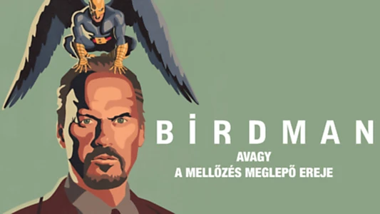 Birdman or (The Unexpected Virtue of Ignorance)