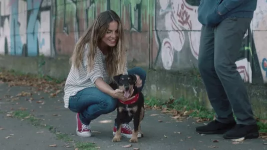 Watch The F#@king dog Trailer