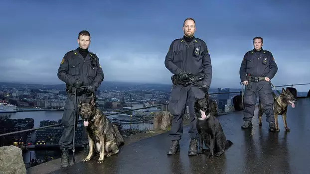 Hundepatruljen Oslo