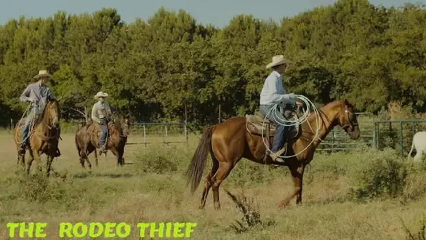 Watch The Rodeo Thief Trailer
