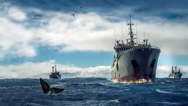 Watch Ocean Warriors Trailer