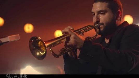 Ibrahim Maalouf - Alcaline le Concert