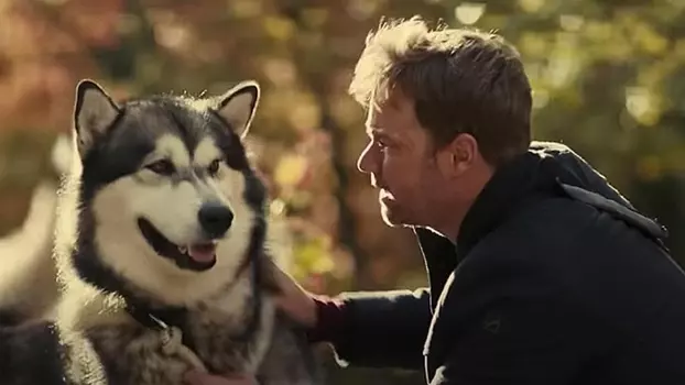 Watch Hero Dog: The Journey Home Trailer