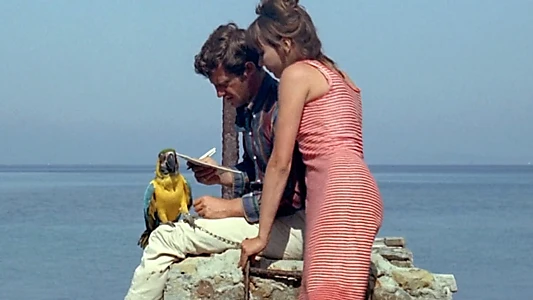 Pierrot le Fou