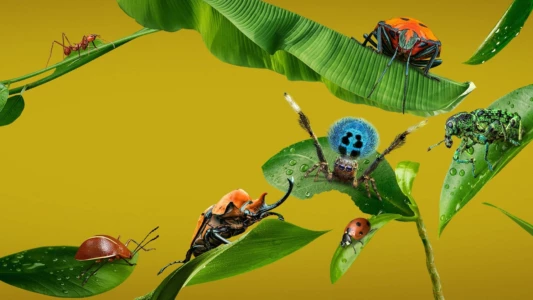 Watch A Real Bug's Life Trailer