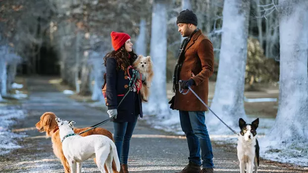 Watch The Dog Days of Christmas Trailer