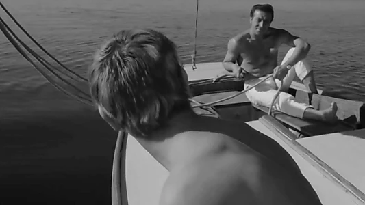 Knife in the Water