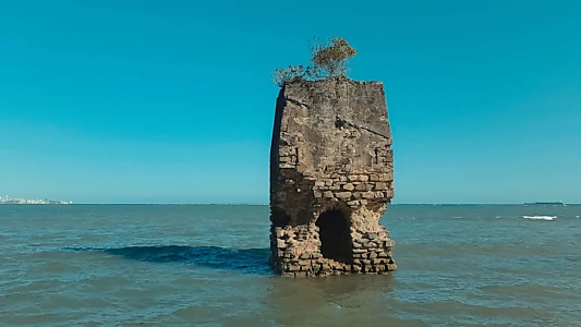 Ilha de Itaparica - Raízes do Brasil