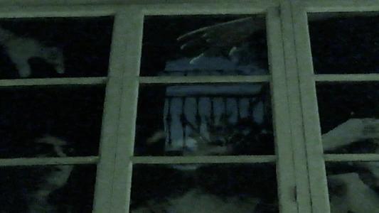 The windows