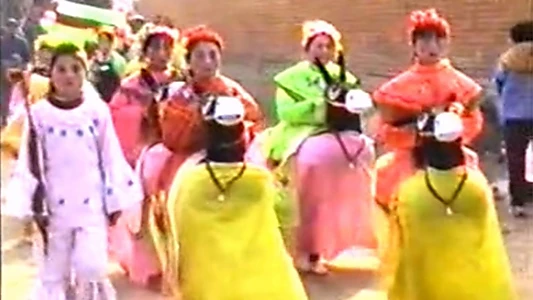 1995年2月2日民间举办迎喜花会