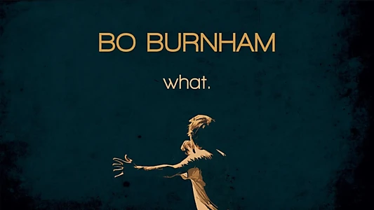 Bo Burnham: What.