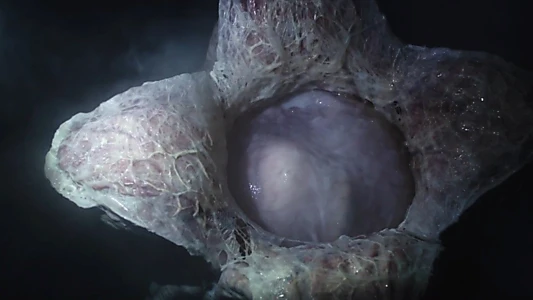 Alien: Covenant - Advent