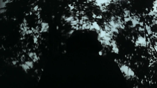 Twilight
