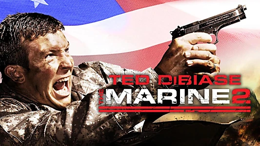 The Marine 2