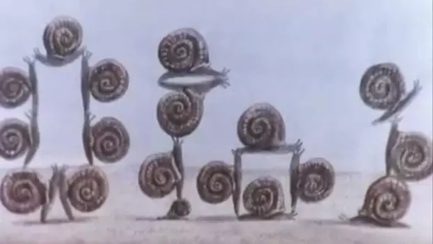 The Snails
