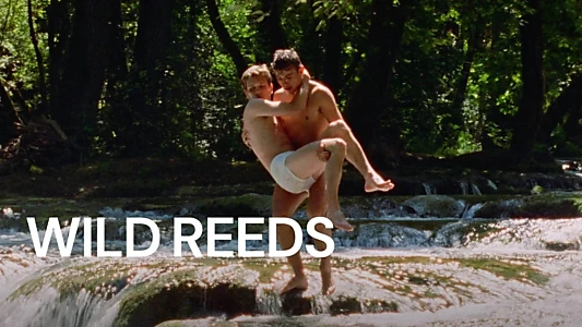 Wild Reeds