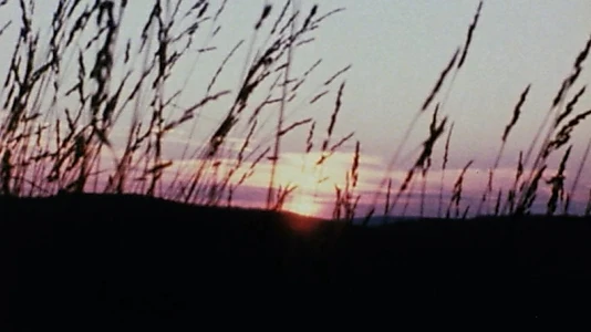 Horizons