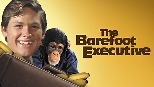 The Barefoot Executive