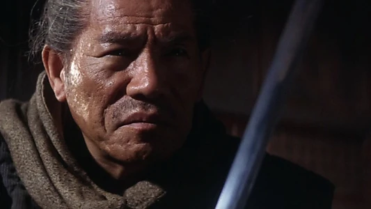 Zatoichi's Cane Sword