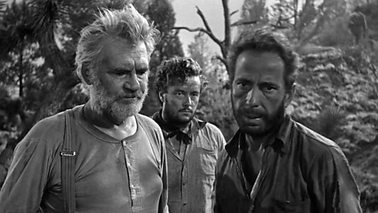 The Treasure of the Sierra Madre