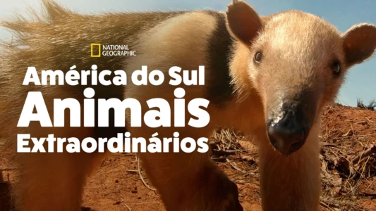 South America's Weirdest Animals