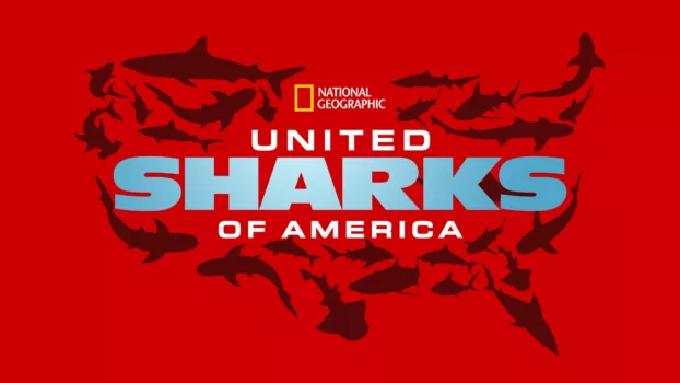 United Sharks of America