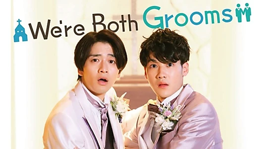 We're Both Grooms