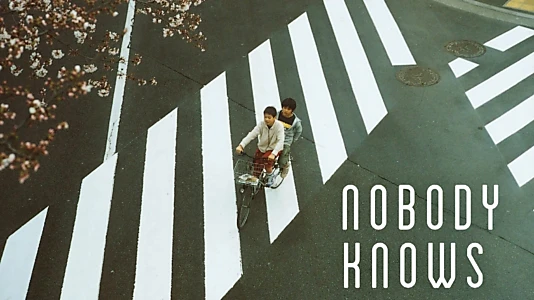 Nobody Knows