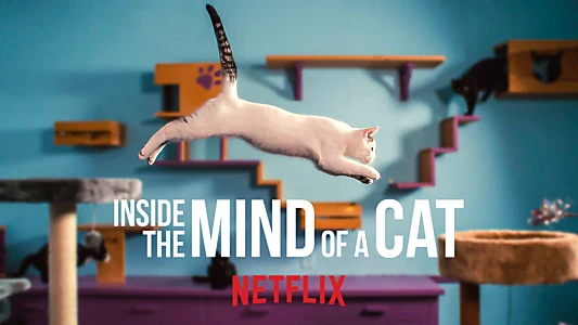 Inside the Mind of a Cat