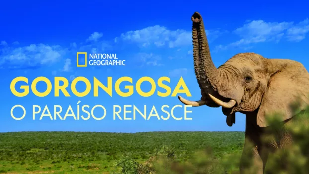 Gorongosa: O Paraíso Renasce