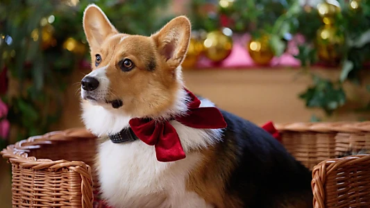 A Royal Corgi Christmas