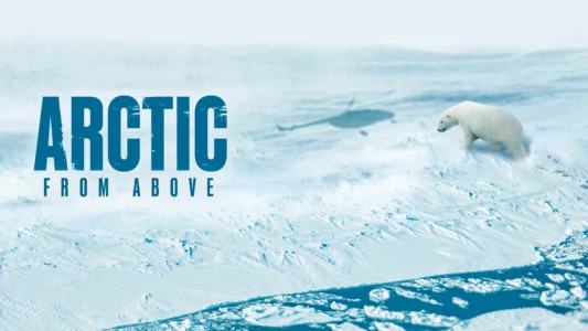 Arctic From Above