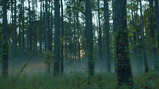 Rebel Ridge
