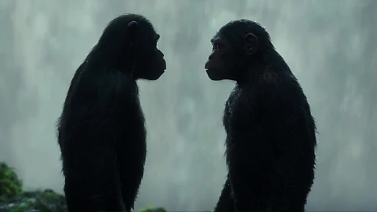 War for the Planet of the Apes