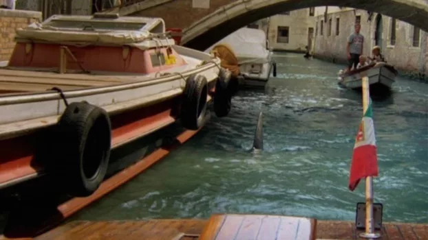 Watch Sharks in Venice Trailer