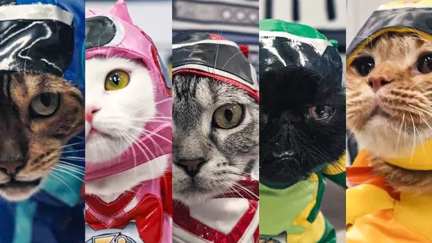 Watch Cat Squadron Vitatama Trailer