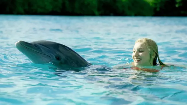 Watch Dolphin Island Trailer
