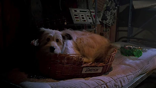 Back to the Future Part II