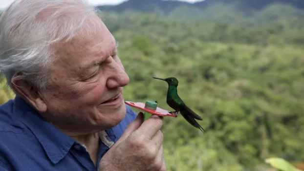 Watch Attenborough's Life in Colour Trailer