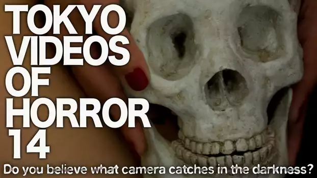 Tokyo Videos of Horror 14