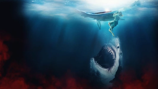 Watch The Requin Trailer