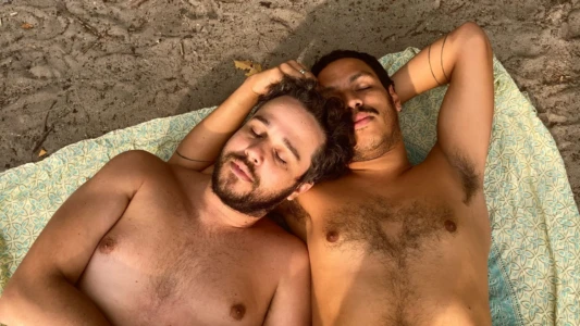 It Is Not the Brazilian Homosexuals Who Are Perverse, But the Situation in Which They Live