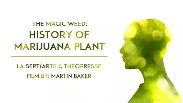 The Magic Weed: History of Marijuana Plant