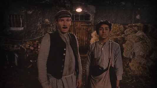 The Grand Budapest Hotel