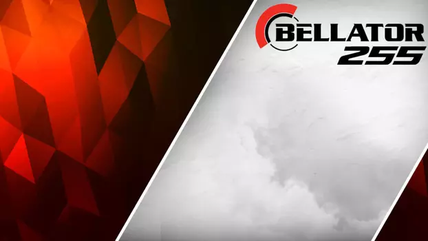 Bellator 255: Pitbull vs. Sanchez 2