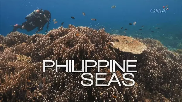 Watch Philippine Seas Trailer