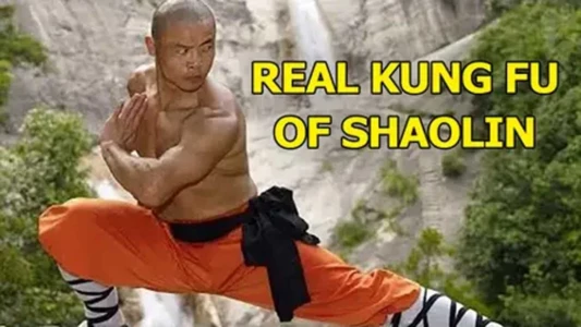 Real Kung Fu Of Shaolin