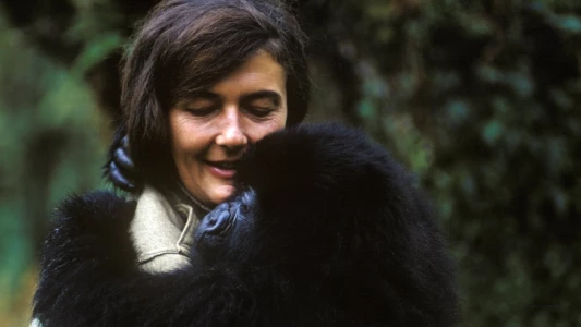 Watch Dian Fossey: Secrets in the Mist Trailer