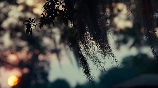 12 Years a Slave